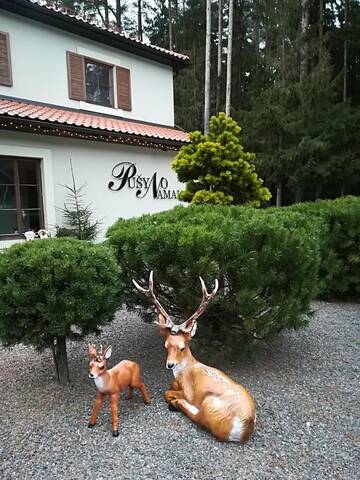 Фото Отель Hotel Pušyno Namai г. Tirkšliai 2